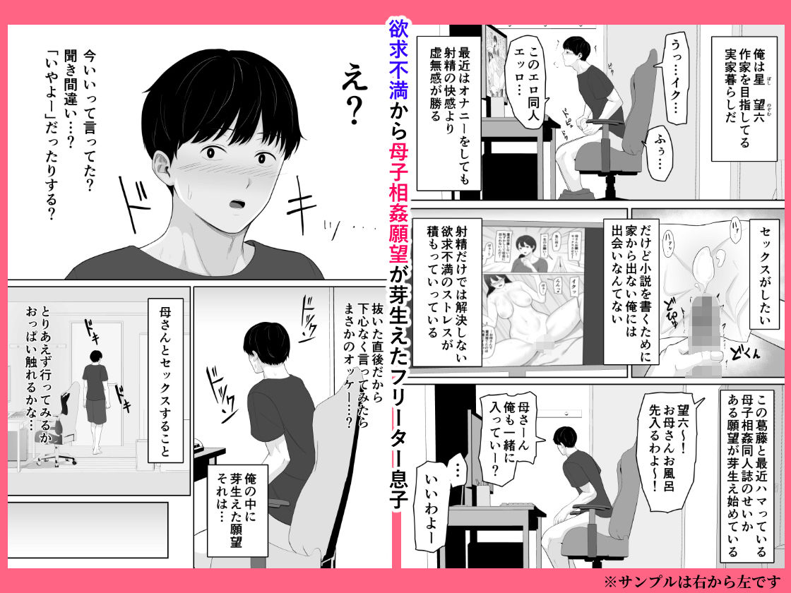 頼んだらヤレるってエロ漫画で読んだから母親にお願いしてみたのイメージCG