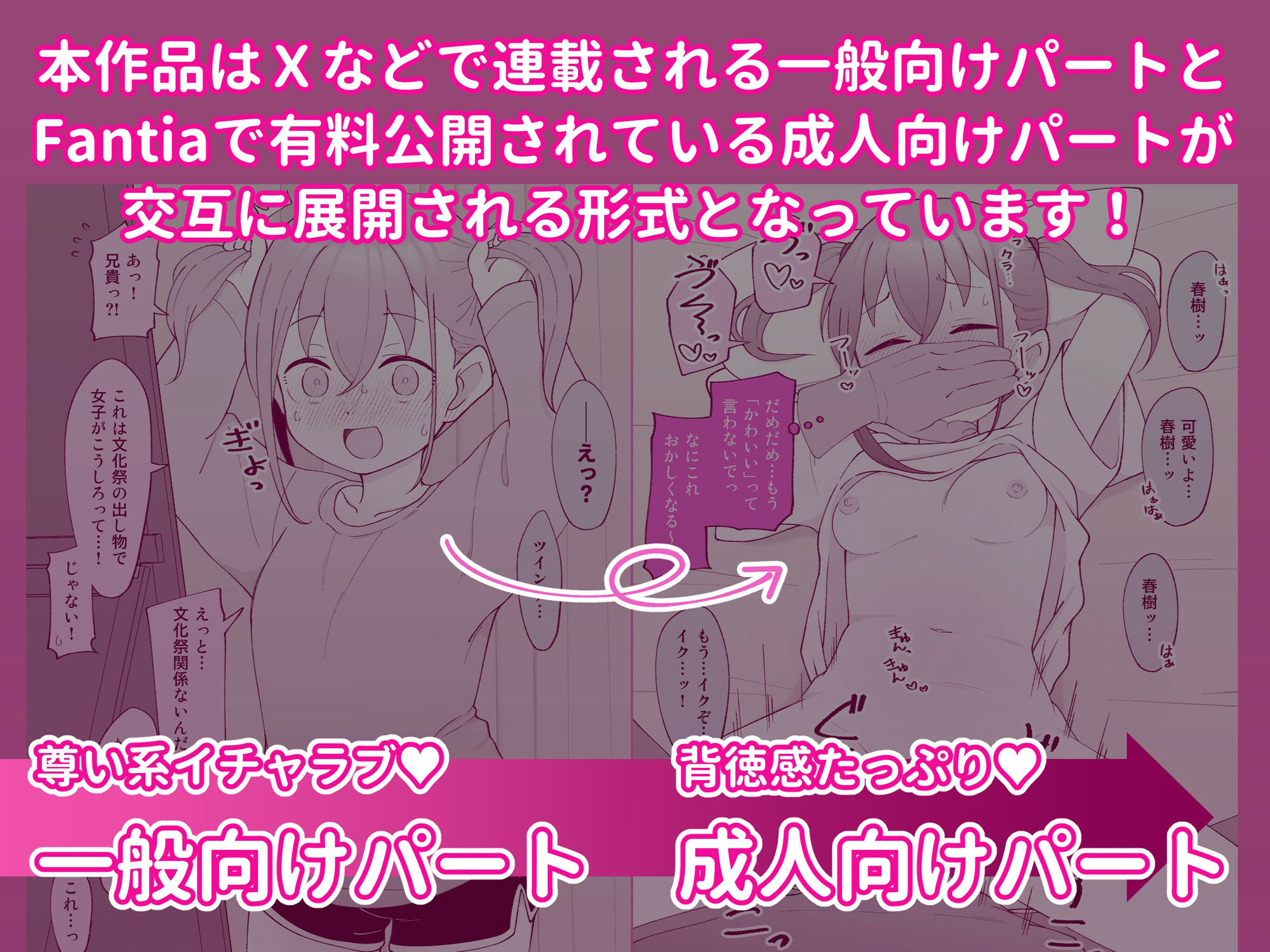 兄貴の彼女になる女の子になっちゃった弟 総集編完全版のイメージCG