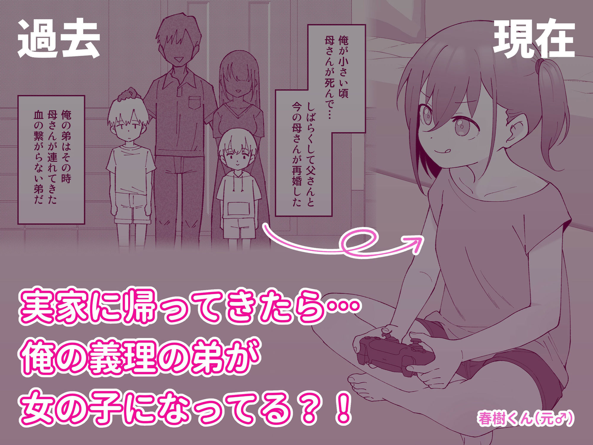 兄貴の彼女になる女の子になっちゃった弟 総集編完全版のイメージCG