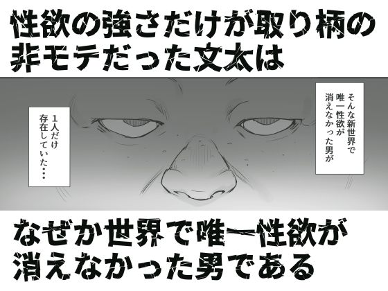 性楽園〜世界中の男から性欲が消えて俺だけがハーレムな件〜のイメージCG